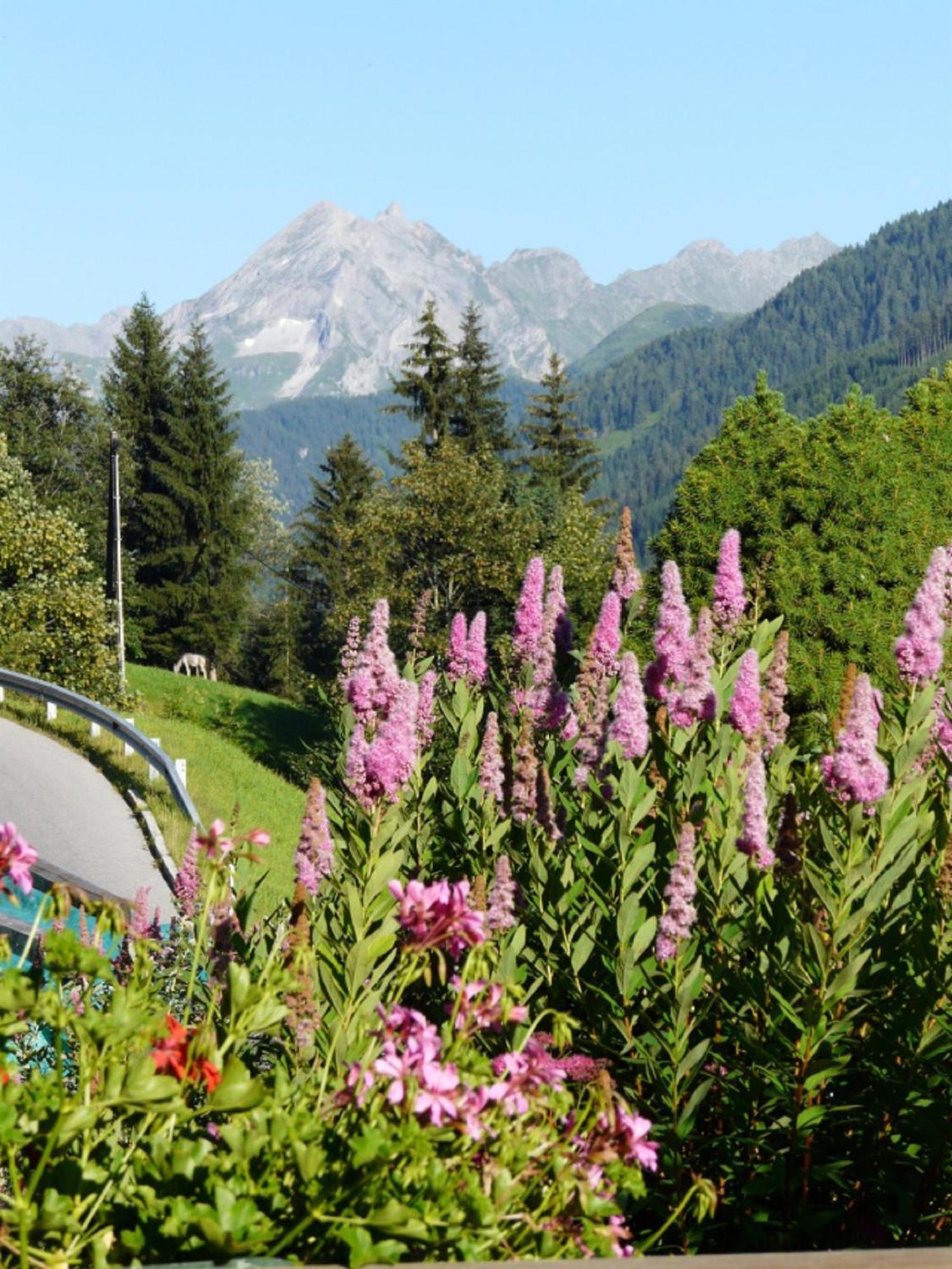 Haus Kammerland Zell am Ziller Ngoại thất bức ảnh